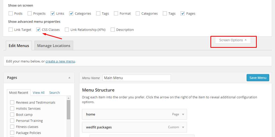Css Classes Screen options WordPress