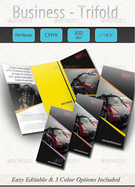 Professional Business Trifold