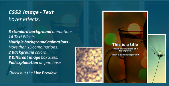 CSS3 Image - Text Hover Effects