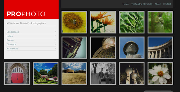 WP ProPhoto - A WordPress Theme For Photographers