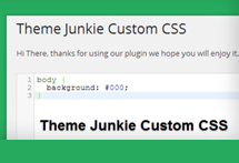 Theme Junkie Custom CSS WordPress