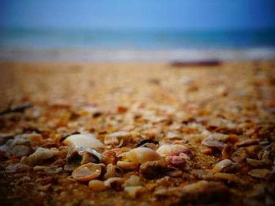 Canon EOS R6 Mark II