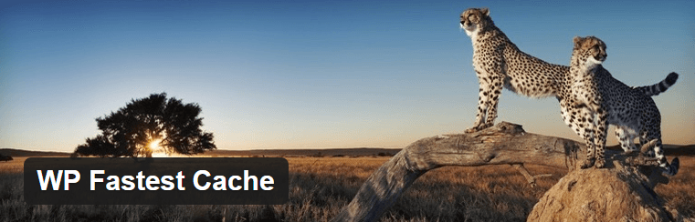 Best WordPress Page Speed Plugin | WP Page Speed One-Click Away!