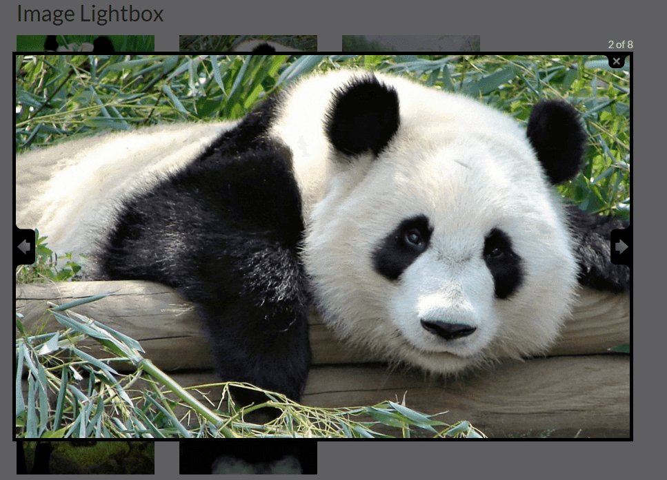 How to add Lightweight Image Lightbox in WordPress