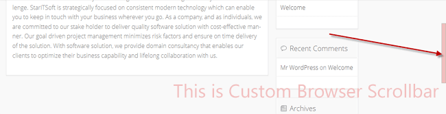 How to Add Custom Browser Scrollbar in WordPress
