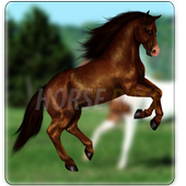 Horse Race Live For PC