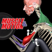 Strength Training by Muscle and Motion For PC