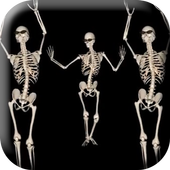 Belly Dancing Live Skeleton For PC