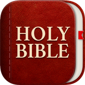Light Bible: Daily Verses, Prayer, Audio Bible For PC