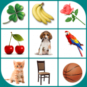 Brain game. Picture Match. For PC