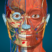 Anatomy Learning - 3D Anatomy in PC (Windows 7, 8, 10, 11)
