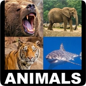 Animal Encyclopedia 