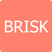 BSI BRISK For PC