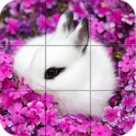Puzzle - Cute bunnies For PC
