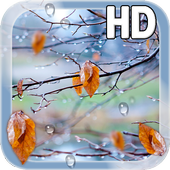 Autumn Raindrops Live HD For PC