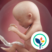 Pregnancy App & Baby Tracker For PC