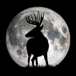 Deer Hunters Moon Guide For PC