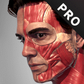 Action Anatomy Pro - Anatomy Pose App for Artist For PC