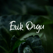 Erik Orgu