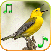 Birds Sounds Ringtones APK 1.8