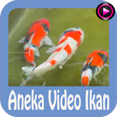Aneka Video Ikan For PC