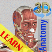 3D Bones and Organs (Anatomy) For PC