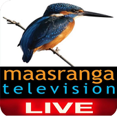 Maasranga Tv Live For PC