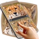Cheetah Keyboard Theme For PC