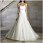 Wedding Gown Inspiration  For PC