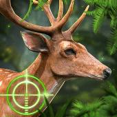 Deer Hunting APK v1.2 (479)