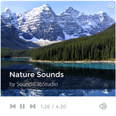 Nature Sounds -Tension Relieve