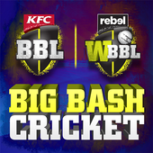 Big Bash Cricket For PC