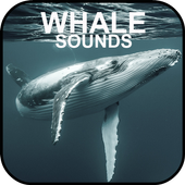 Whale Sounds For PC