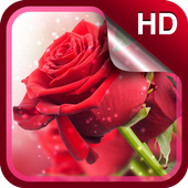 Red Roses Live Wallpaper HD For PC