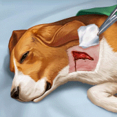 Operate Now: Animal Hospital For PC