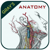 Gray's Anatomy - Anatomy Atlas For PC