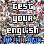 Test Your English II. For PC