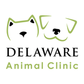 Delaware Animal Clinic For PC