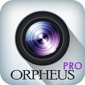 Orpheus Pro For PC