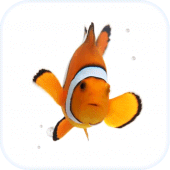 Fish Live Wallpaper Theme HD For PC