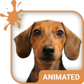 Doggy Dream Animated Keyboard + Live Wallpaper 1.70 Android for Windows PC & Mac