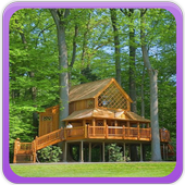 Tree House Gallery For PC