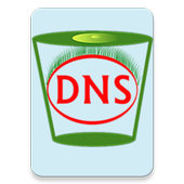 Flush DNS For PC