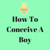 How To Conceive A Boy For PC