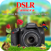 DSLR Camera For PC