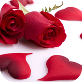 Images of love with roses For PC
