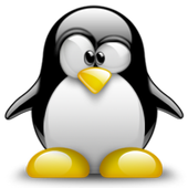 Linux Deploy For PC