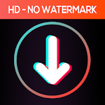 Download Video No Watermark - SaveTik For PC