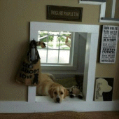 Indoor Dog House APK 4.2.1