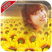 Sunflower Photo Frames For PC